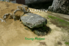 06-Peilani-Palapessy