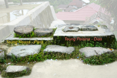 10-Peisina-Reasa-Dias-Paris